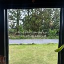 키코1983 이미지