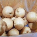 삼계농협농산물 유통센터 이미지