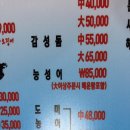 스시 먹는 오징어 이미지
