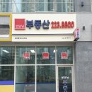 수원파비오더리미티드185 이미지