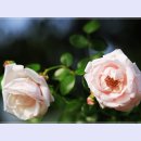 곡성-060 이미지