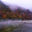 공작산 휴양림 펜션 이미지