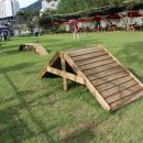 애견의숲 이미지