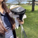 해비치골프연습장 | 제주 2인 골프, 해비치cc 골프장 후기 노캐디 캐디 둘다 가능