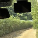 강원도 영월 찐 촌캉스-산골초가펜션