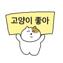 개인의 사정으로 못생긴 남자를 좋아할 수는 있는데 잘생겼다고 하는 건 불법이죠