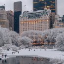 대한유치원 | [영어유치원에 대한 고찰, 강남구 학습식 영유에 보낸 후기]