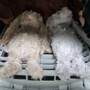 타워세탁 이미지