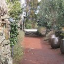 성읍민속마을 이미지