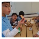 전도갯벌체험장 Daum카페