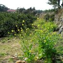 성산소방서 화장실 이미지