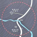 제주 신례리 왕벚나무 자생지 | 제주 신례리 왕벚나무 자생지