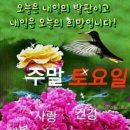 토요일 이미지