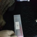 효성볼트 이미지