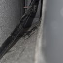 티비관련 빠삭하신 차은우 카리나 계신가요 이미지