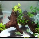 나나마트 이미지