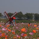 백곡천2 이미지