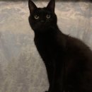 골골탬버린클럽 이미지