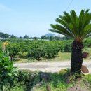 숲섬민박 이미지