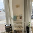 치치까까 이미지