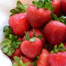 만봉농장 이미지