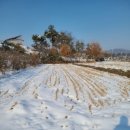 광산구-148 이미지