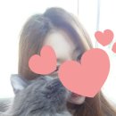 쿤모바일 이미지