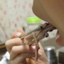 송도오리마을 이미지