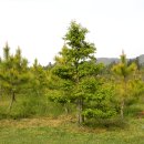 보광농원 이미지