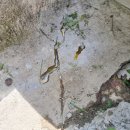 천정경로당 이미지