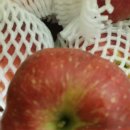 송암농원 이미지