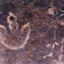 진주 가진리 새발자국과 공룡발자국 화석산지 이미지