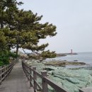 월포2리 화장실 | 해파랑길 19코스를 다녀오다.
