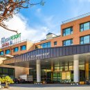 나봄리조트 | 나봄리조트 후기｜애견 동반이 가능한 무주 자연형 리조트