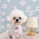 그루멍(groomung) 이미지