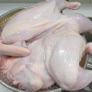 닭두마리 Daum카페