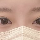 에스더속눈썹 이미지