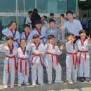 용인대 태풍태권도 이미지