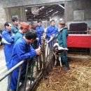 세계축산 이미지