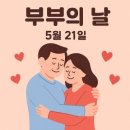 유카세탁 Daum카페