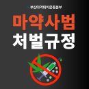 대한민국의 미래를 위협하는 마약 | 마약사범 처벌 - 제조 밀수 판매 소지 투약 징역 몇년일까?