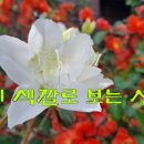 정인운수 이미지