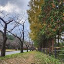 한남오거리 이미지