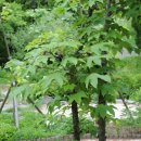 경상남도 수목원 이미지