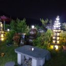 한옥과편백의 만남 이미지