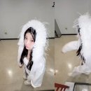 아일릿 카카오 검색결과