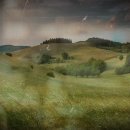 내장산 단풍생태공원 이미지