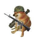 주정차CCTV-진사도서관 | [곰신일기] 뜨거웠던 우리의 8월🔥(너무더워)