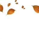 A토탈피트니스 이미지