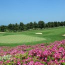 뉴욕스크린골프 이미지